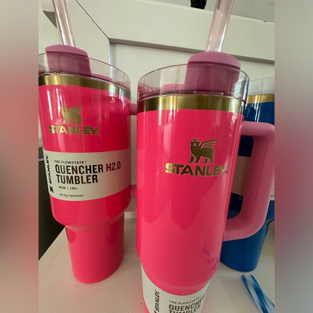 40oz & 30oz Pink Parade Stanley cups